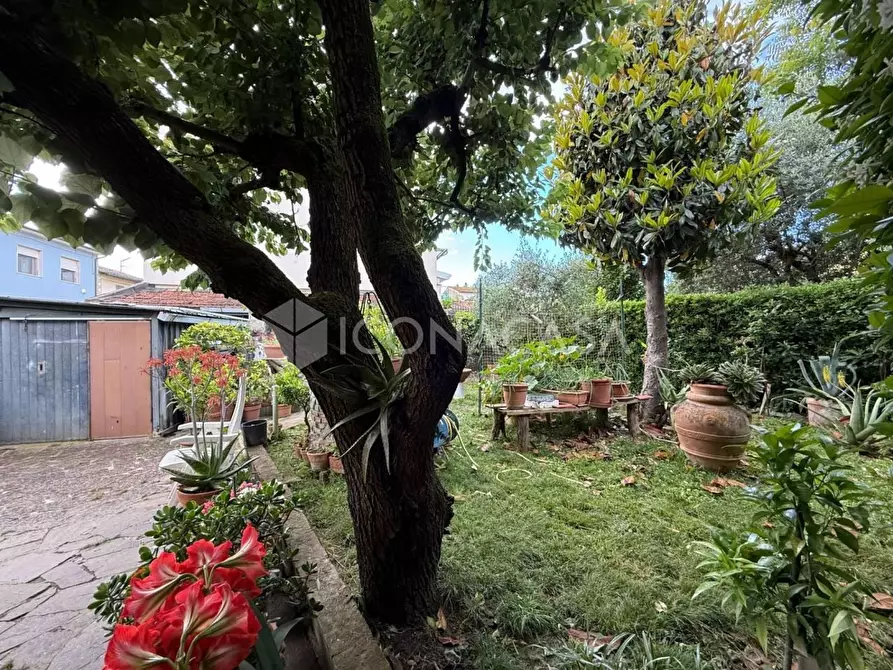 Immagine 43 di Appartamento in vendita  a Bientina
