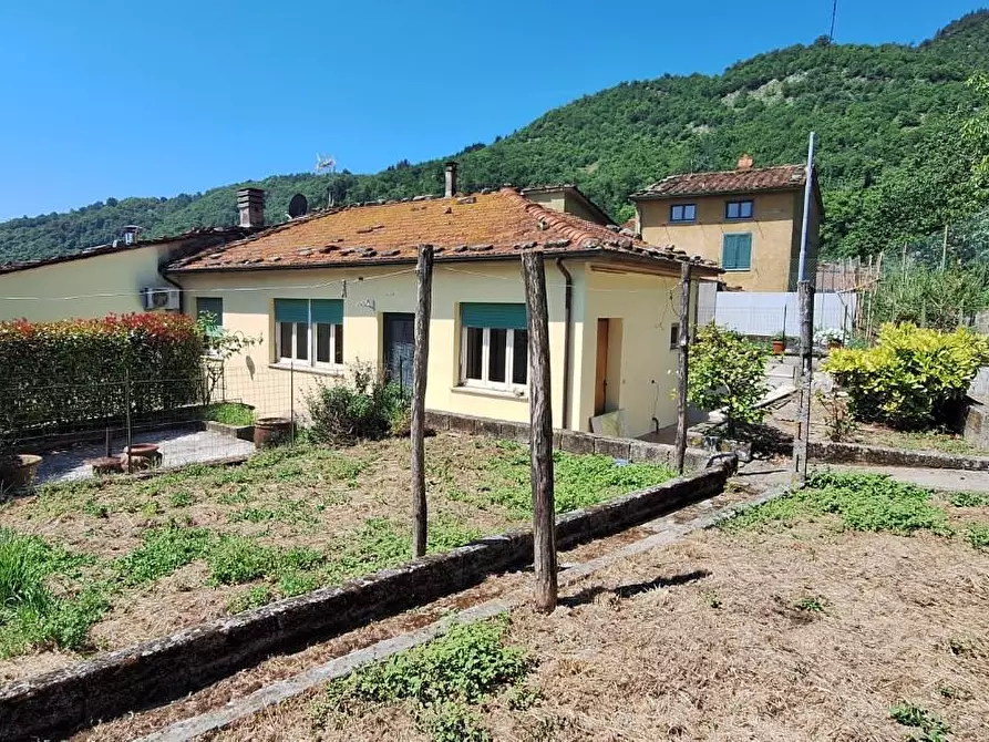 Immagine 1 di Terratetto in vendita  a Borgo A Mozzano