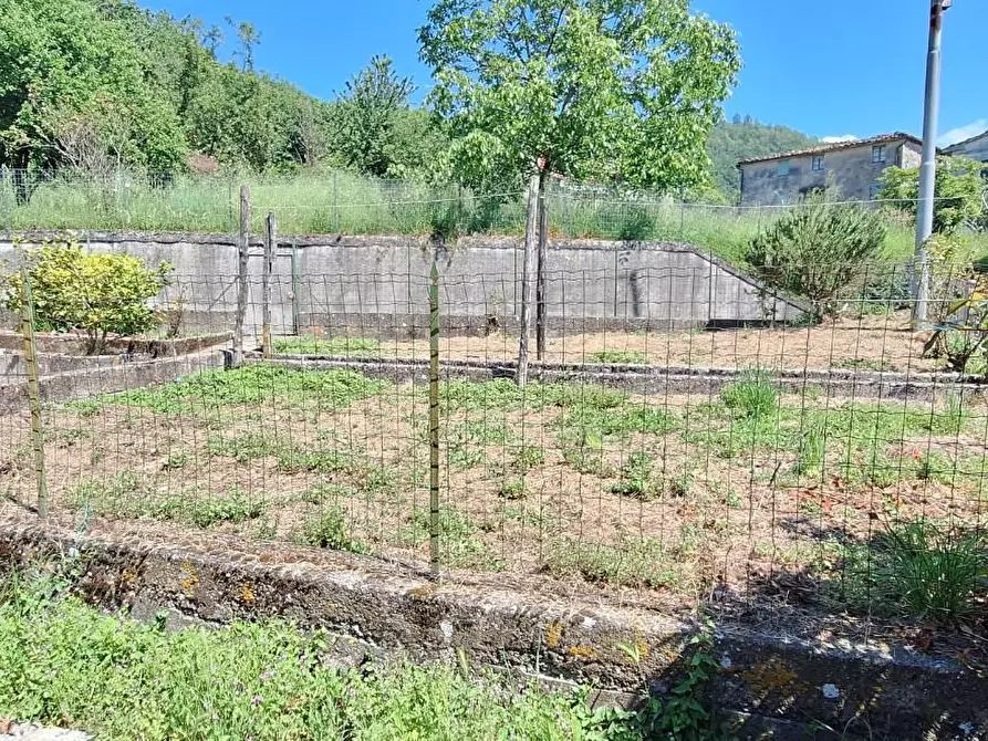 Immagine 6 di Terratetto in vendita  a Borgo A Mozzano