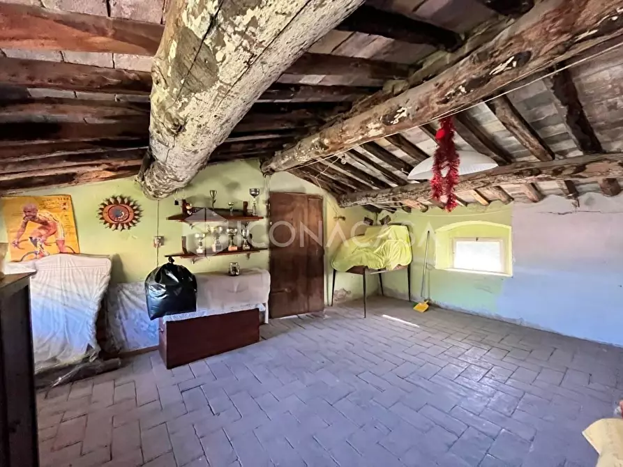 Immagine 16 di Appartamento in vendita  a Buti