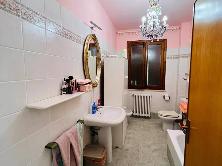 Immagine 14 di Appartamento in vendita  a Bibbona