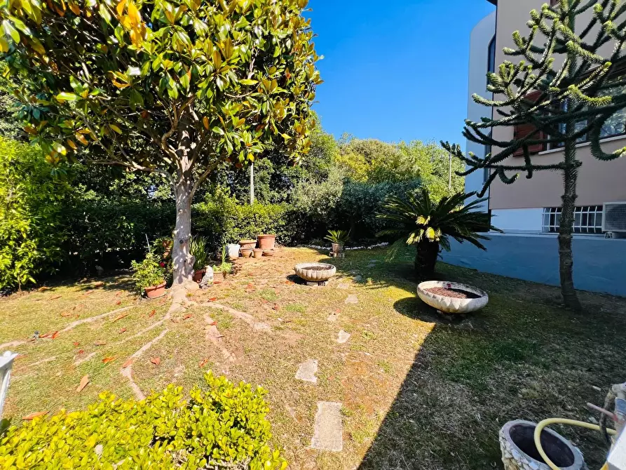 Immagine 37 di Appartamento in vendita  a Bibbona