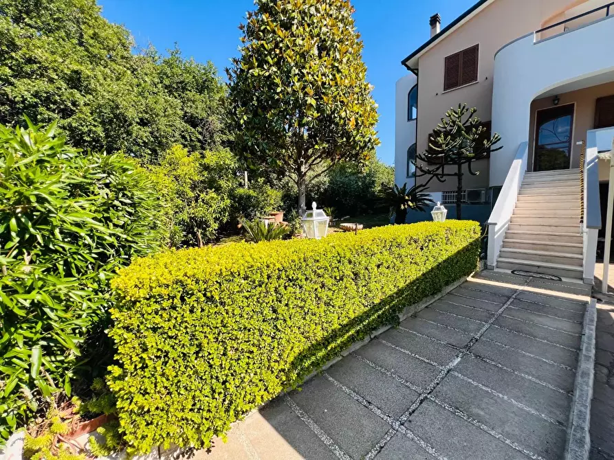 Immagine 36 di Appartamento in vendita  a Bibbona