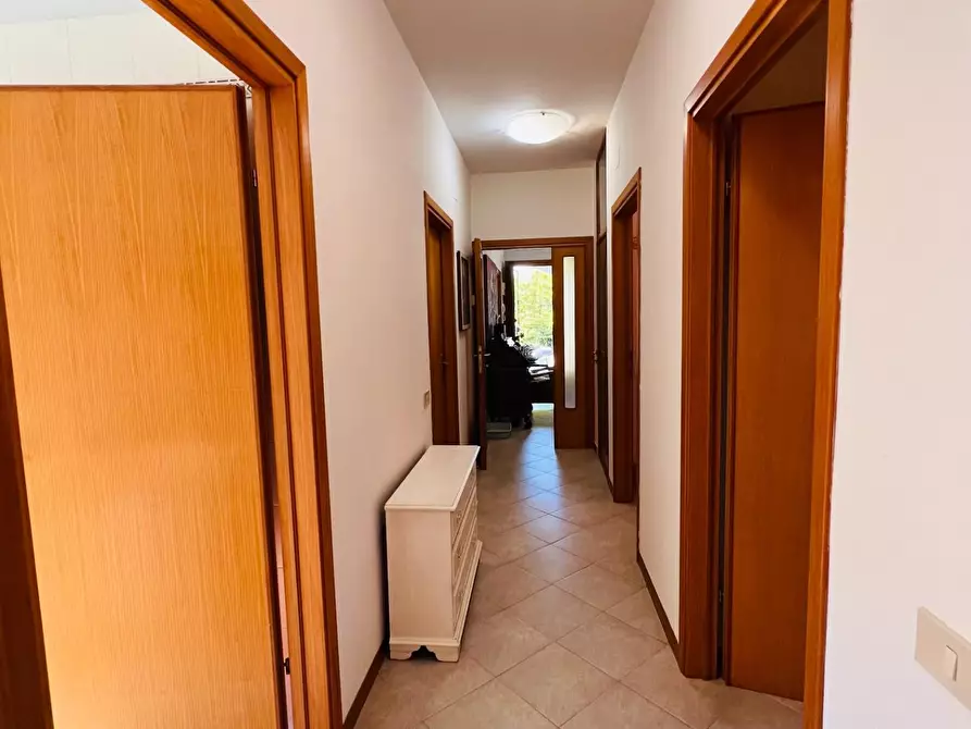 Immagine 17 di Appartamento in vendita  a Bibbona