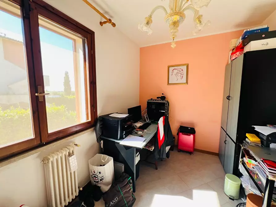Immagine 13 di Appartamento in vendita  a Bibbona