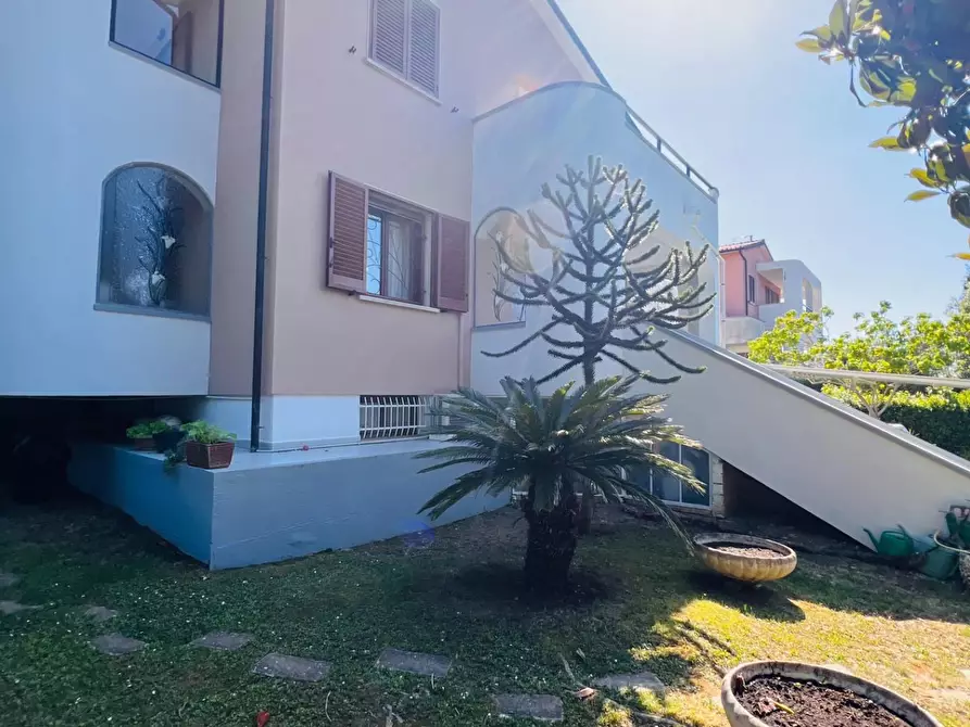 Immagine 40 di Appartamento in vendita  a Bibbona