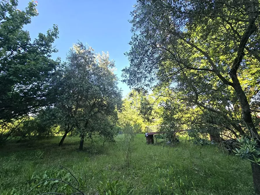 Immagine 8 di Terreno agricolo in vendita  a Poggibonsi