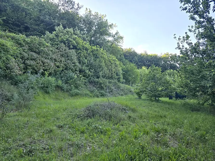 Immagine 1 di Terreno agricolo in vendita  a Poggibonsi