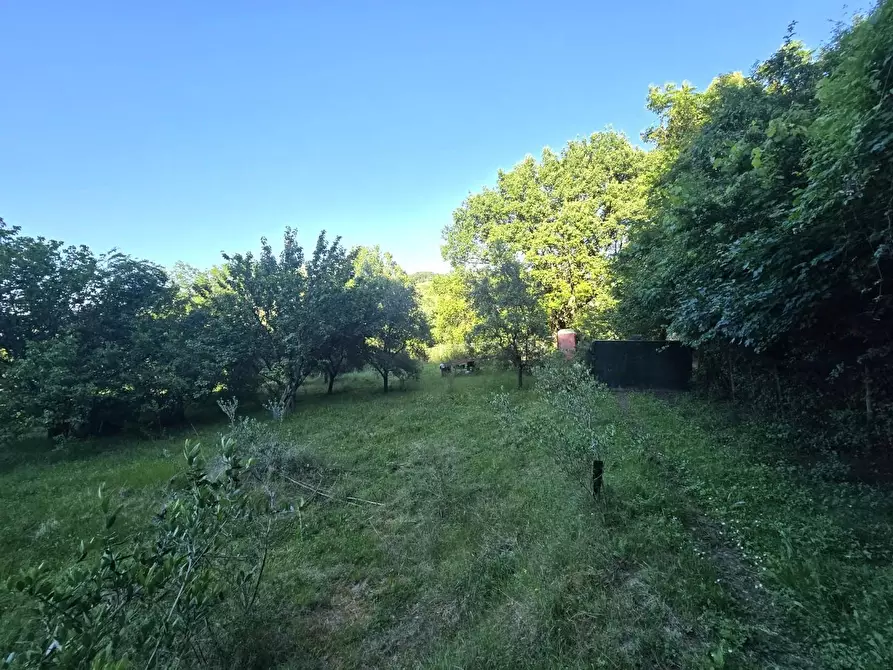 Immagine 11 di Terreno agricolo in vendita  a Poggibonsi