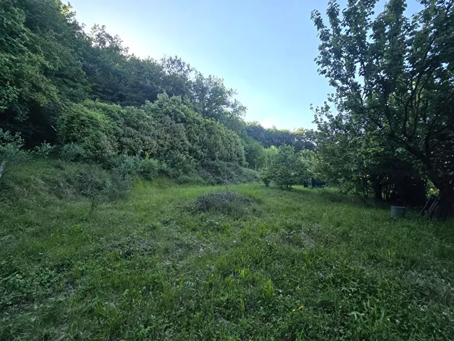 Immagine 10 di Terreno agricolo in vendita  a Poggibonsi