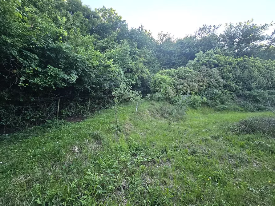 Immagine 9 di Terreno agricolo in vendita  a Poggibonsi