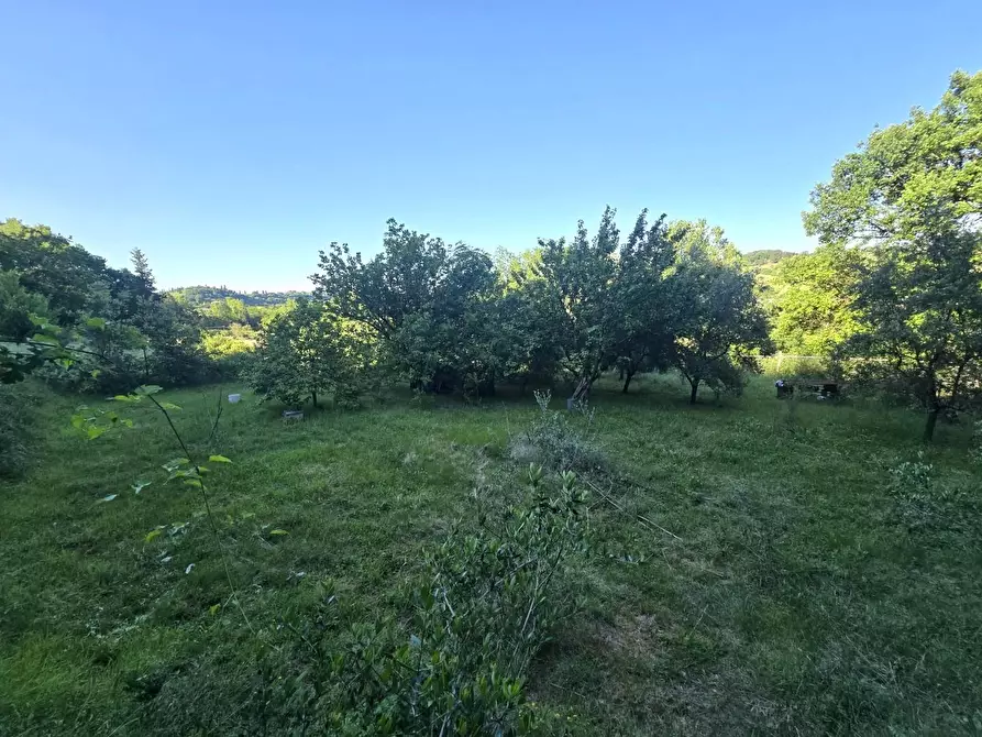 Immagine 5 di Terreno agricolo in vendita  a Poggibonsi