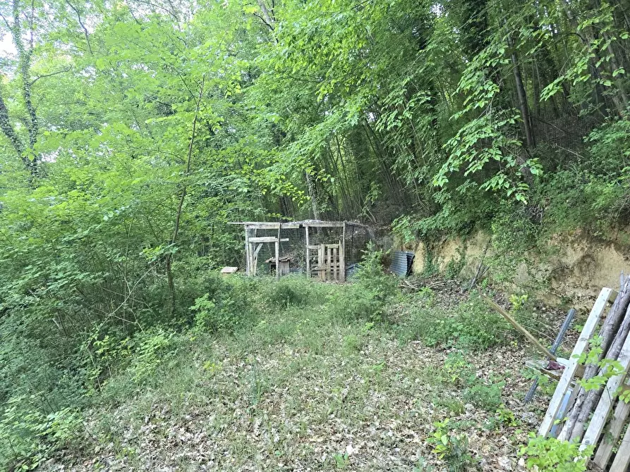 Immagine 7 di Terreno agricolo in vendita  a Poggibonsi