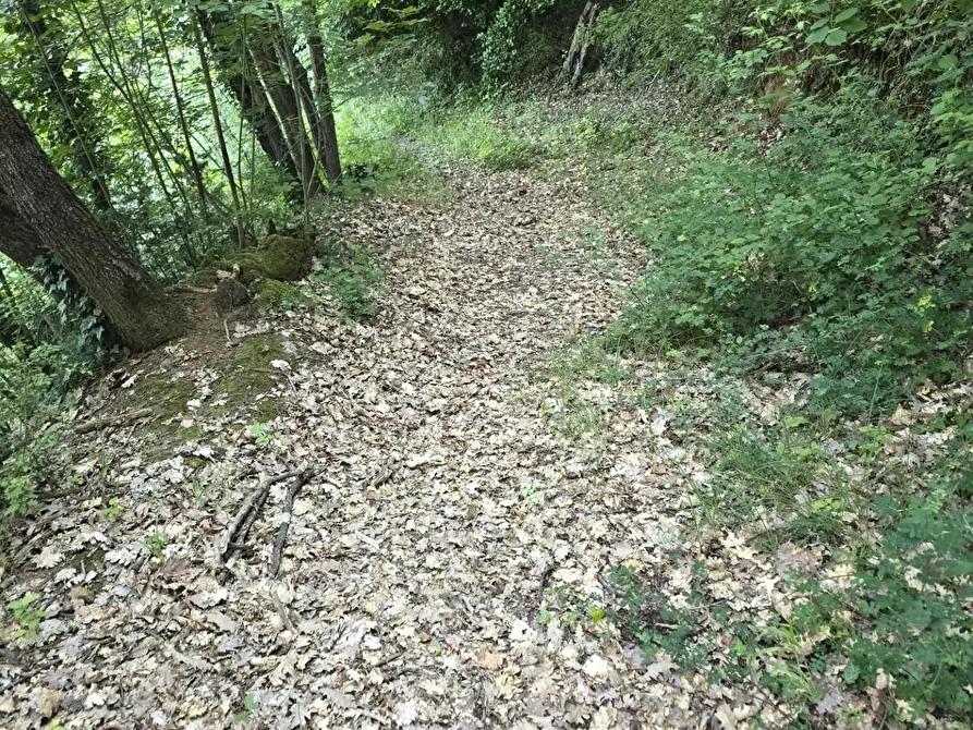 Immagine 12 di Terreno agricolo in vendita  a Poggibonsi
