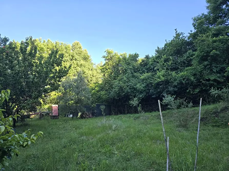 Immagine 3 di Terreno agricolo in vendita  a Poggibonsi
