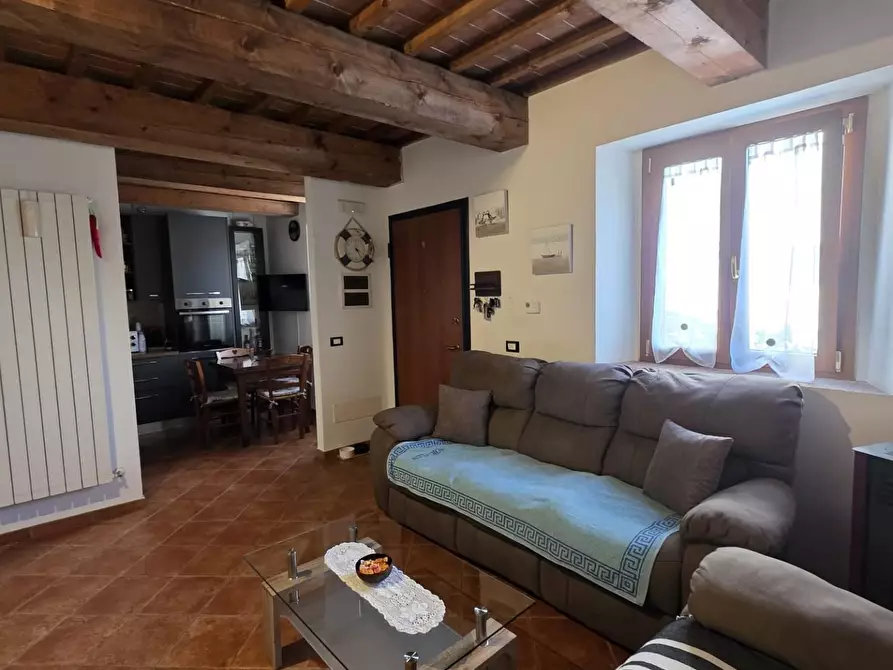 Immagine 5 di Terratetto in vendita  a Collesalvetti