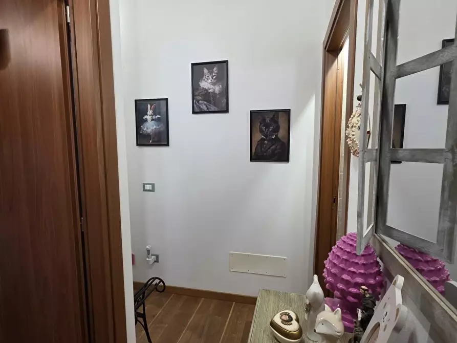 Immagine 37 di Appartamento in vendita  a Collesalvetti