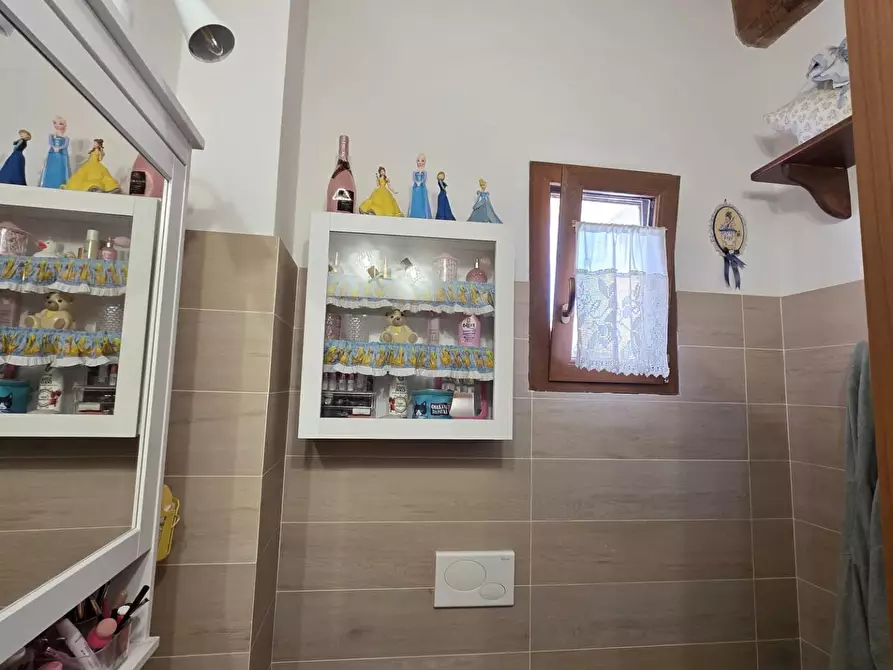 Immagine 32 di Appartamento in vendita  a Collesalvetti