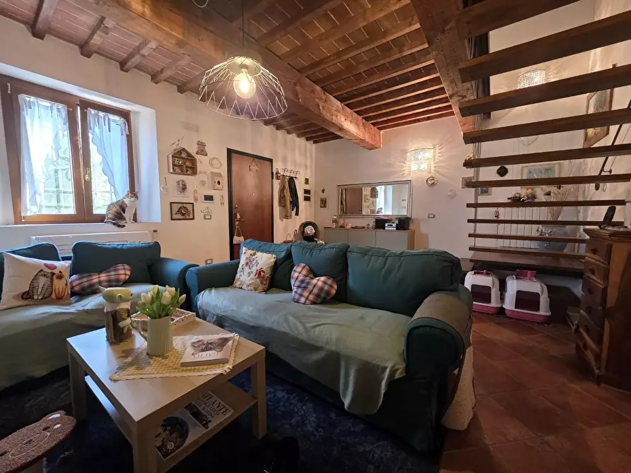 Immagine 2 di Appartamento in vendita  a Collesalvetti