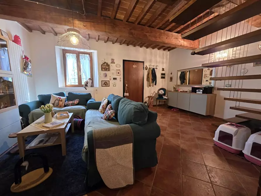 Immagine 3 di Appartamento in vendita  a Collesalvetti