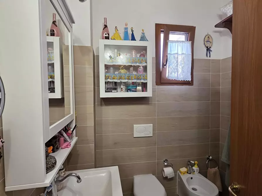 Immagine 36 di Appartamento in vendita  a Collesalvetti