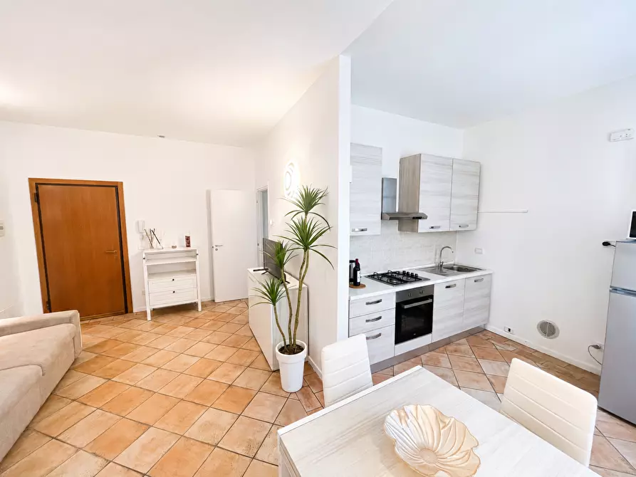 Immagine 4 di Appartamento in vendita  a Terricciola