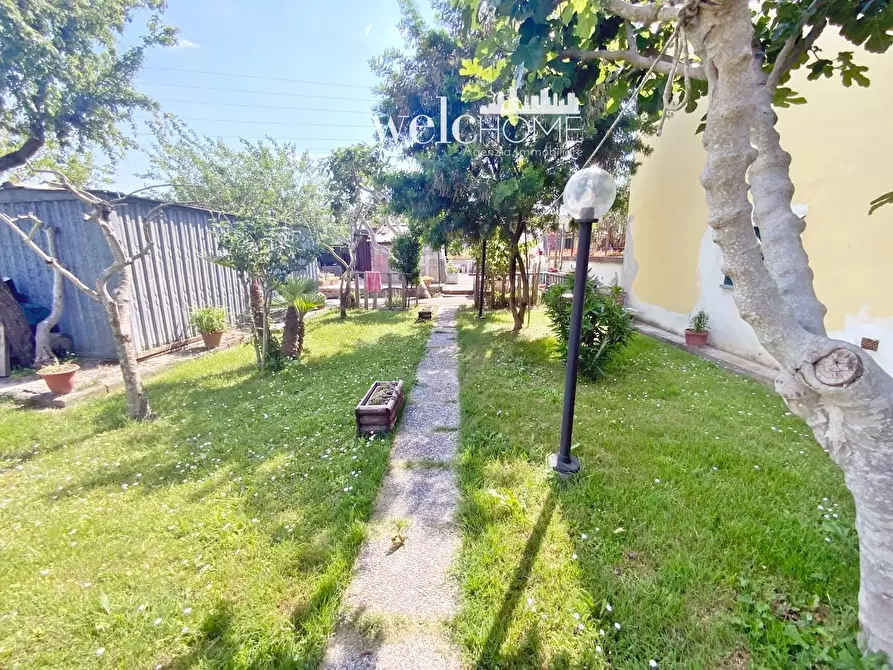 Immagine 18 di Terratetto in vendita  a Signa
