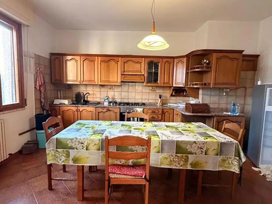 Immagine 20 di Appartamento in vendita  a Bibbona