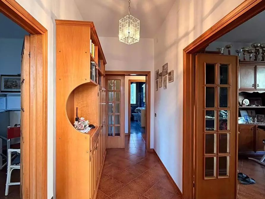 Immagine 14 di Appartamento in vendita  a Bibbona