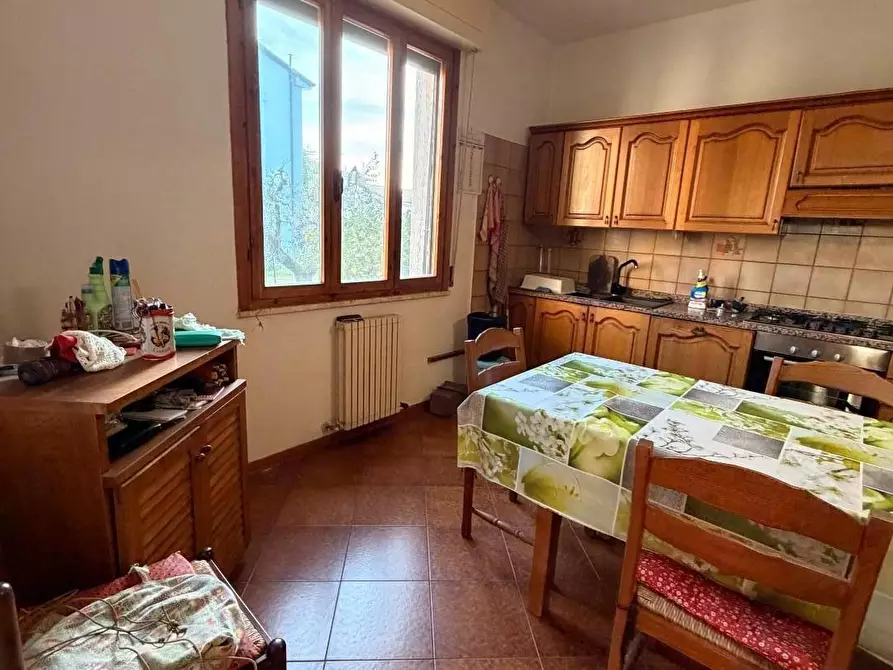 Immagine 21 di Appartamento in vendita  a Bibbona