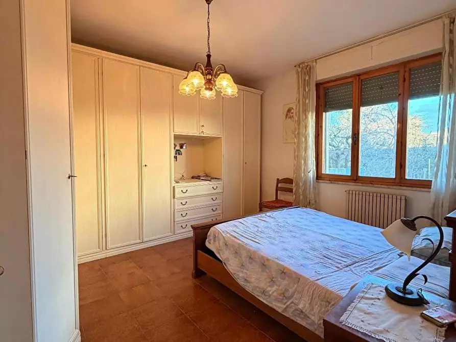 Immagine 5 di Appartamento in vendita  a Bibbona