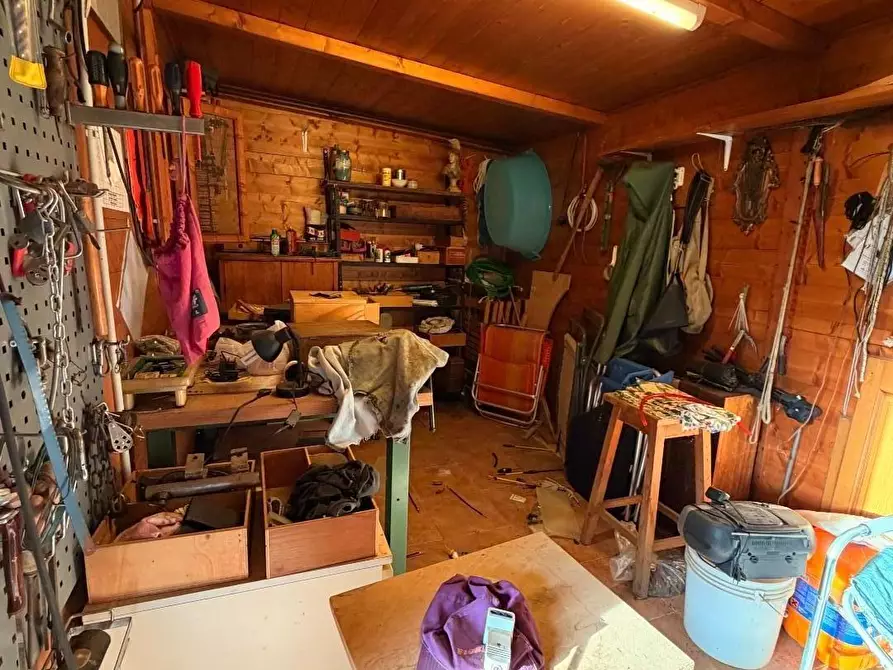 Immagine 29 di Appartamento in vendita  a Bibbona