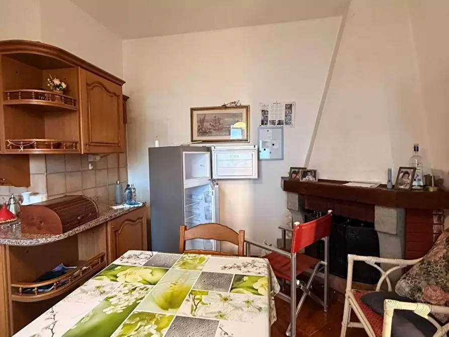 Immagine 19 di Appartamento in vendita  a Bibbona