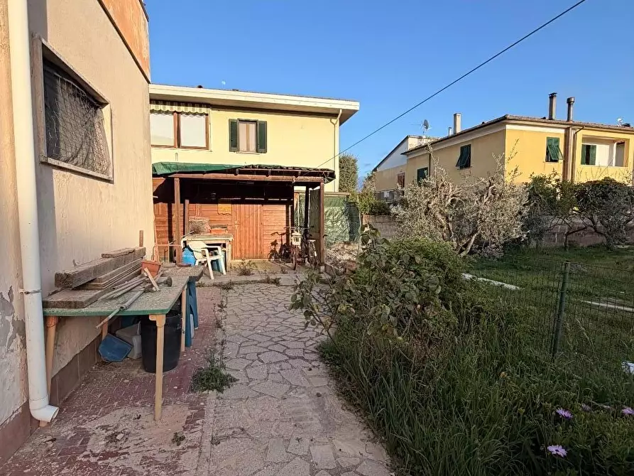 Immagine 25 di Appartamento in vendita  a Bibbona