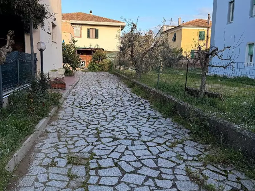Immagine 2 di Appartamento in vendita  a Bibbona