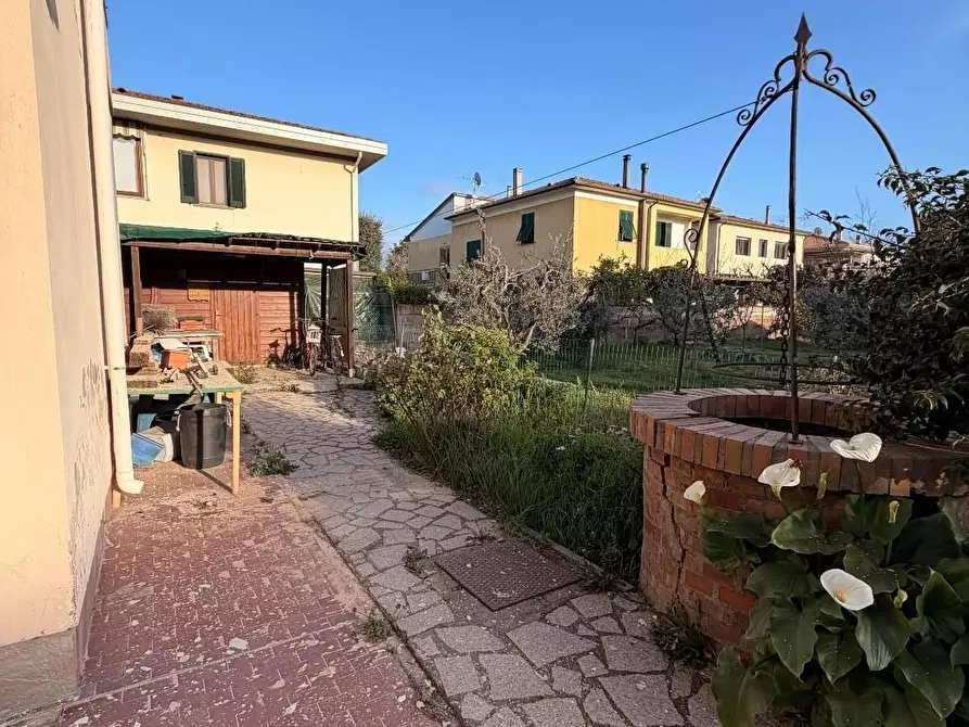 Immagine 3 di Appartamento in vendita  a Bibbona