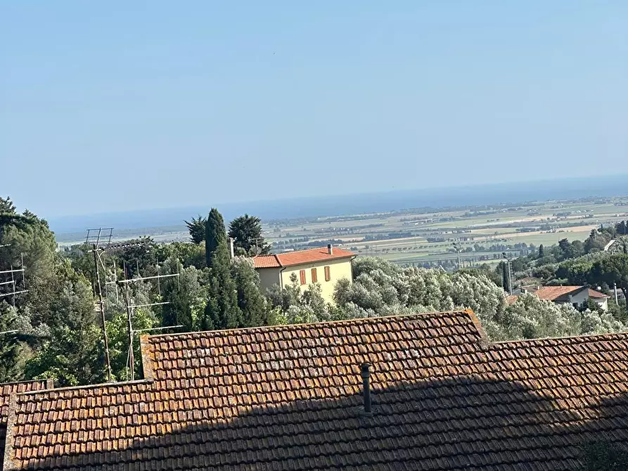 Immagine 2 di Appartamento in vendita  a Campiglia Marittima