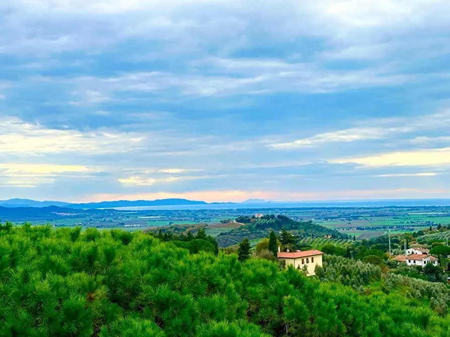 Immagine 1 di Appartamento in vendita  a Campiglia Marittima