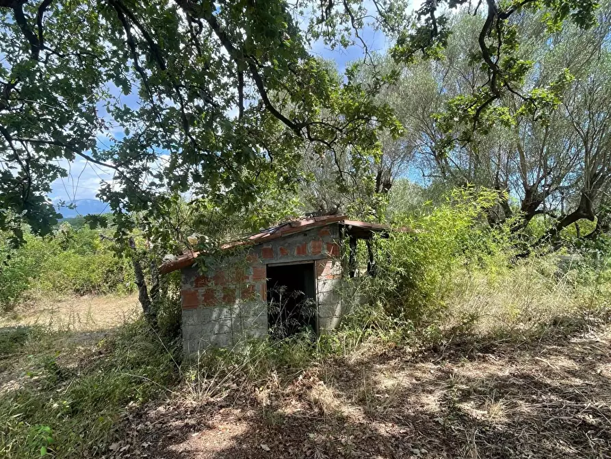 Immagine 17 di Rustico / casale in vendita  a Santa Marina