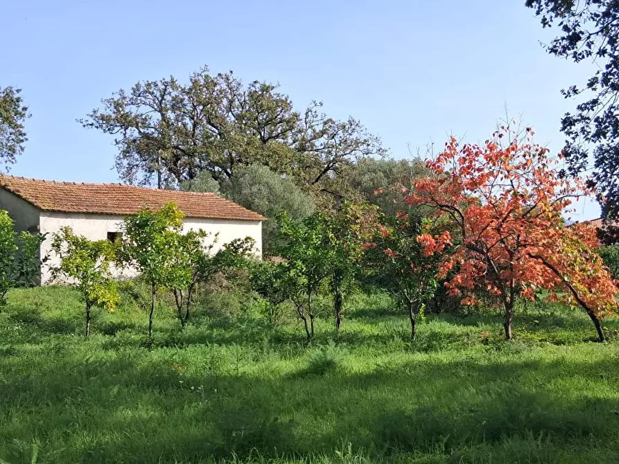 Immagine 8 di Rustico / casale in vendita  a Santa Marina