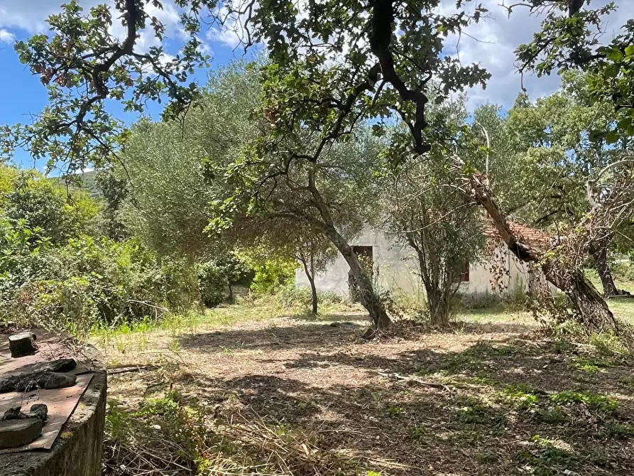 Immagine 19 di Rustico / casale in vendita  a Santa Marina