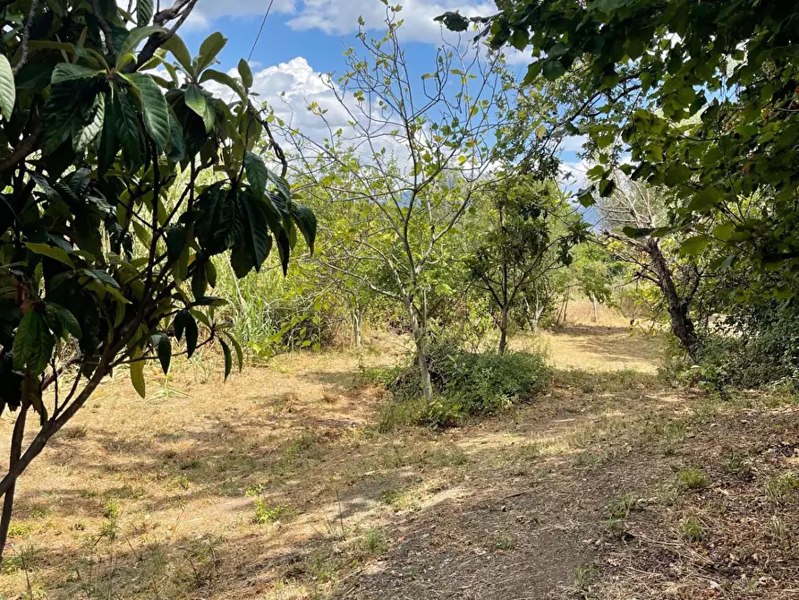 Immagine 31 di Rustico / casale in vendita  a Santa Marina