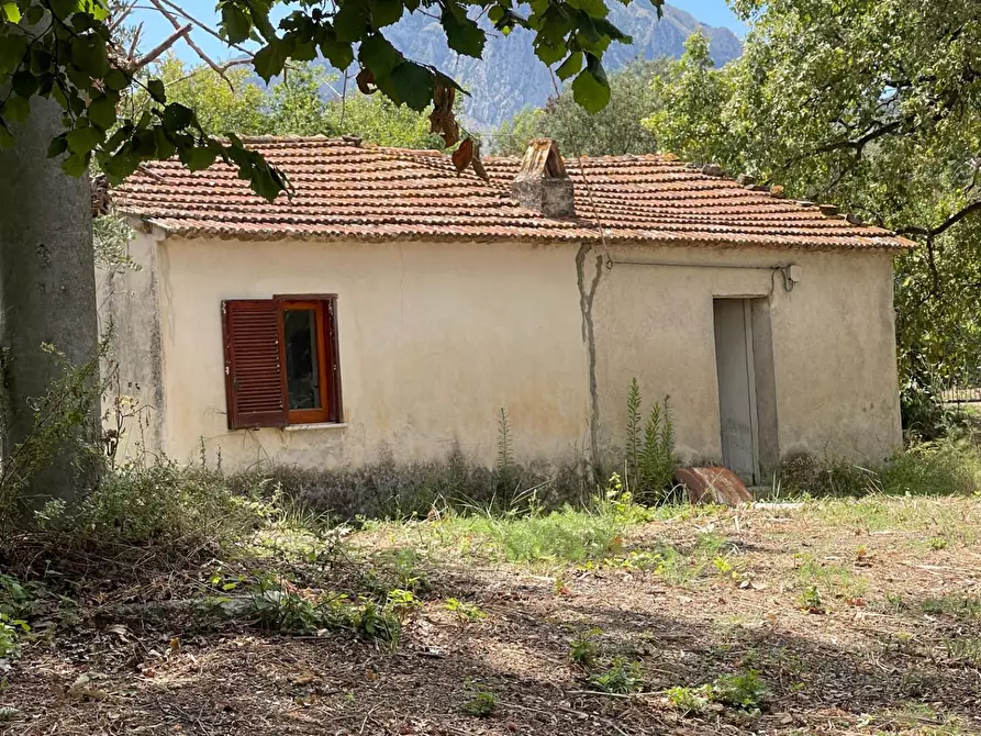 Immagine 1 di Rustico / casale in vendita  a Santa Marina