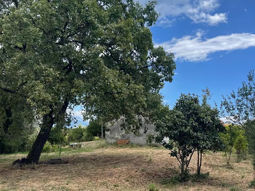 Immagine 26 di Rustico / casale in vendita  a Santa Marina