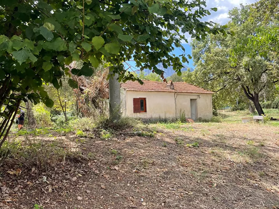 Immagine 2 di Rustico / casale in vendita  a Santa Marina