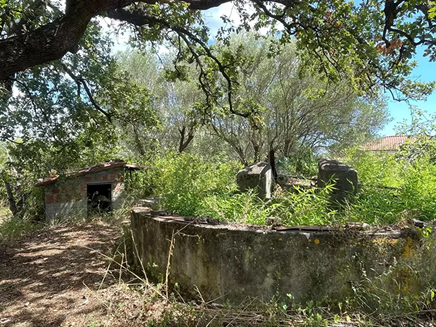 Immagine 30 di Rustico / casale in vendita  a Santa Marina