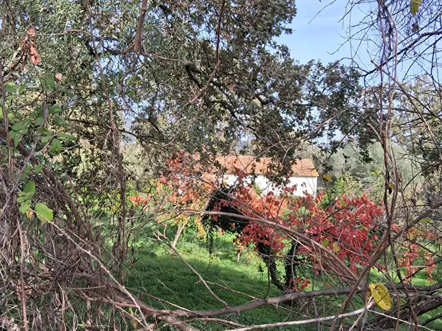 Immagine 58 di Rustico / casale in vendita  a Santa Marina