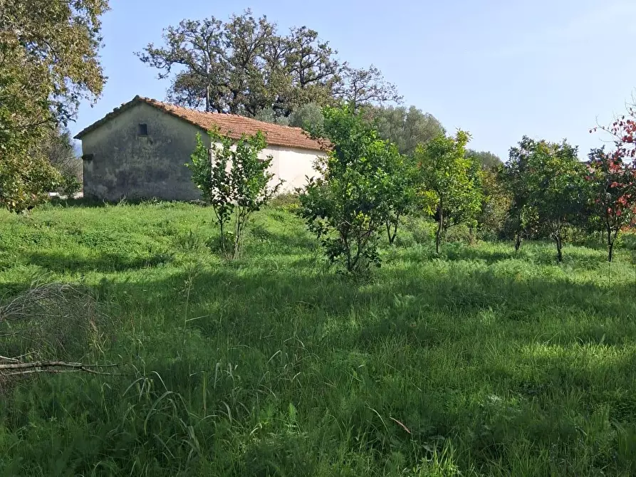 Immagine 13 di Rustico / casale in vendita  a Santa Marina