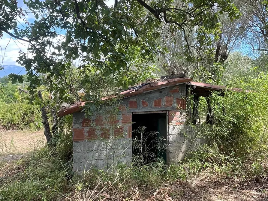 Immagine 6 di Rustico / casale in vendita  a Santa Marina