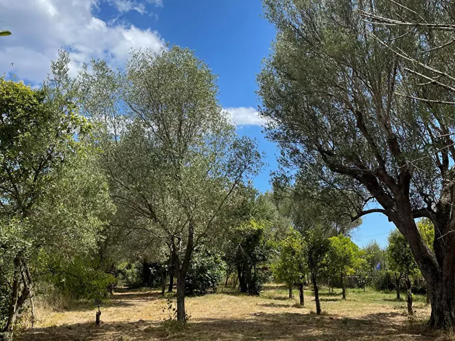 Immagine 16 di Rustico / casale in vendita  a Santa Marina